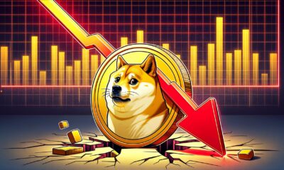 Dogecoin Support.jpg