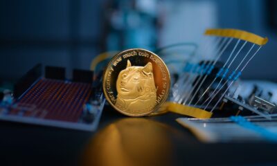 Dogecoin From Unsplash 2.jpg