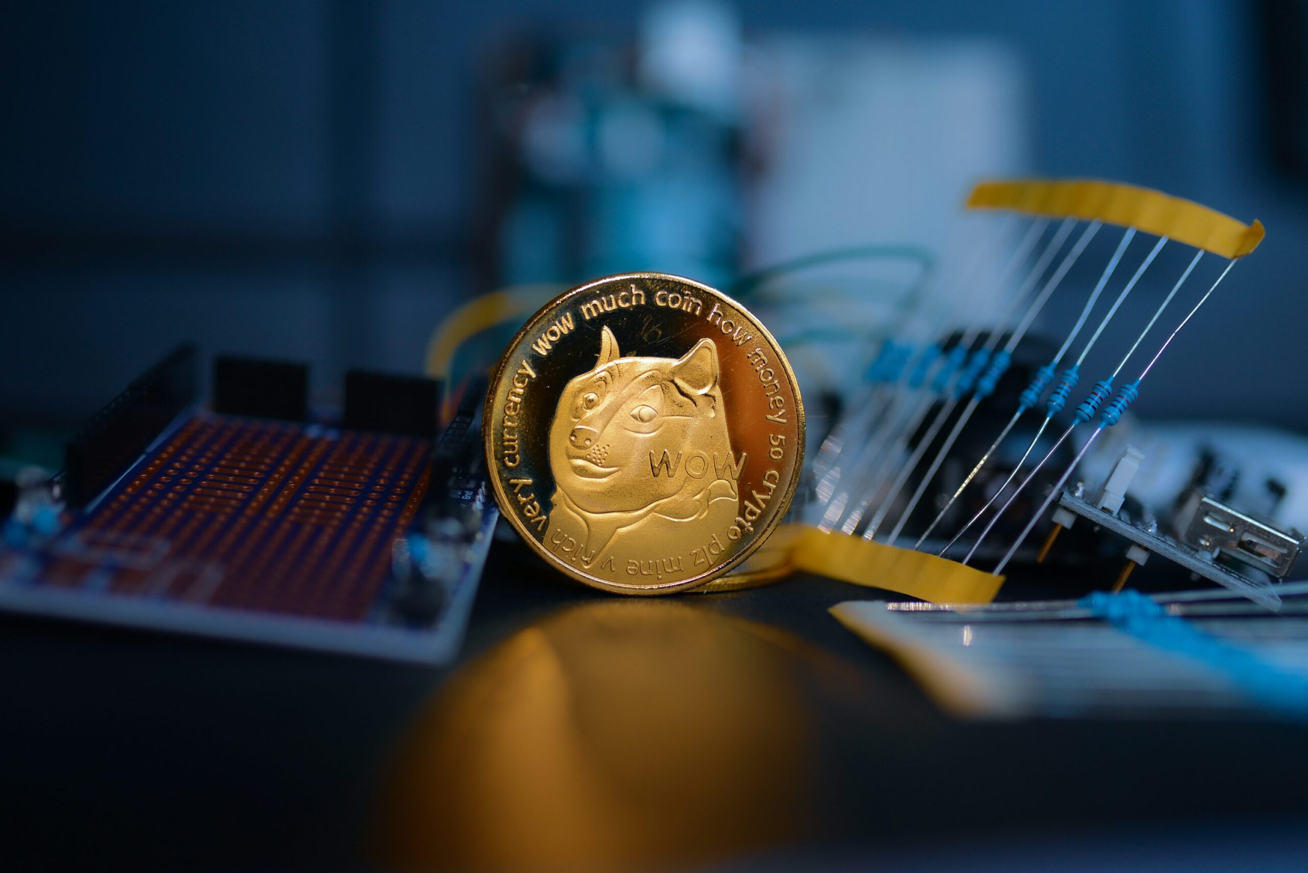 Dogecoin From Unsplash 2.jpg