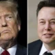 Elon Musk Trump.webp.webp