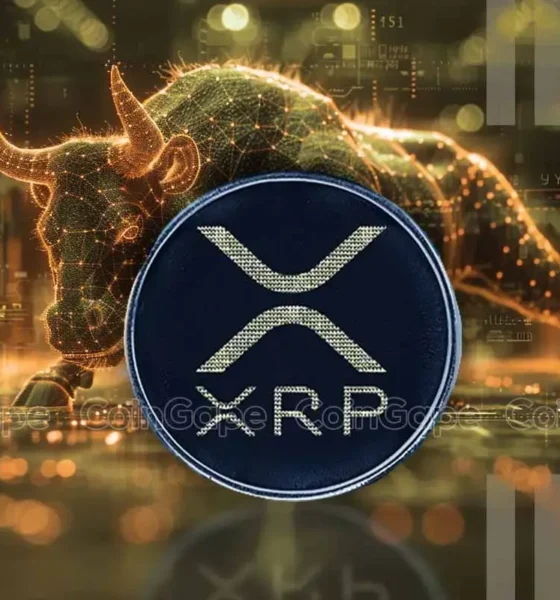 Top Analyst Say Haters Will Hate But Xrp Bull Run Is On The Way.webp.webp