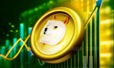 Why Dogecoin Price Rising So Fast.webp.webp