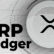 Xrp Ledger 3.png