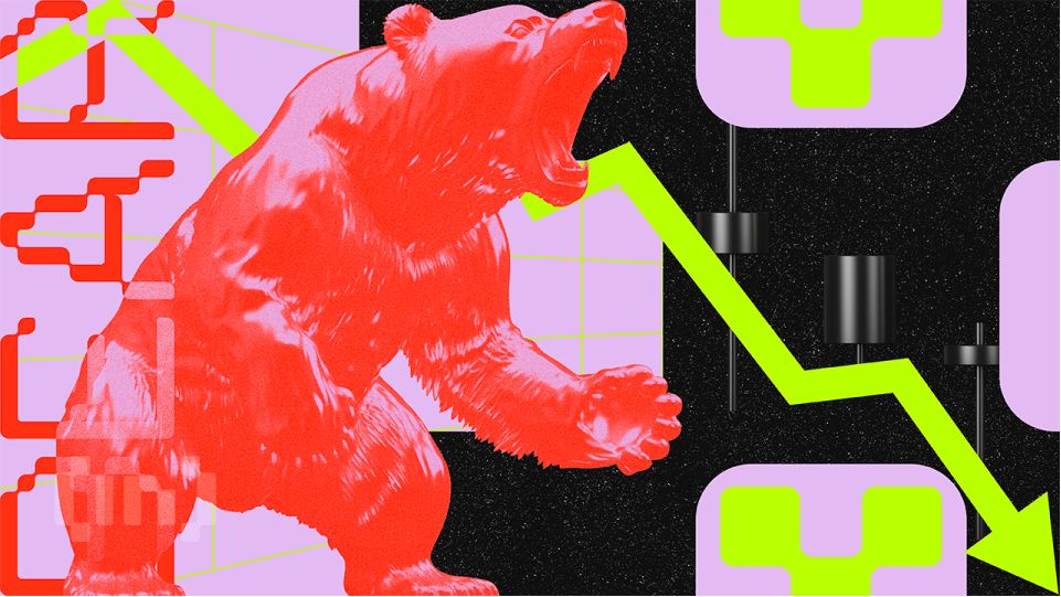 Bic Bears Bearish 1.jpg.optimal.jpg