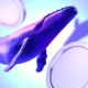 Bic Crypto Whales 3 Covers Neutral.jpg.webp.webp