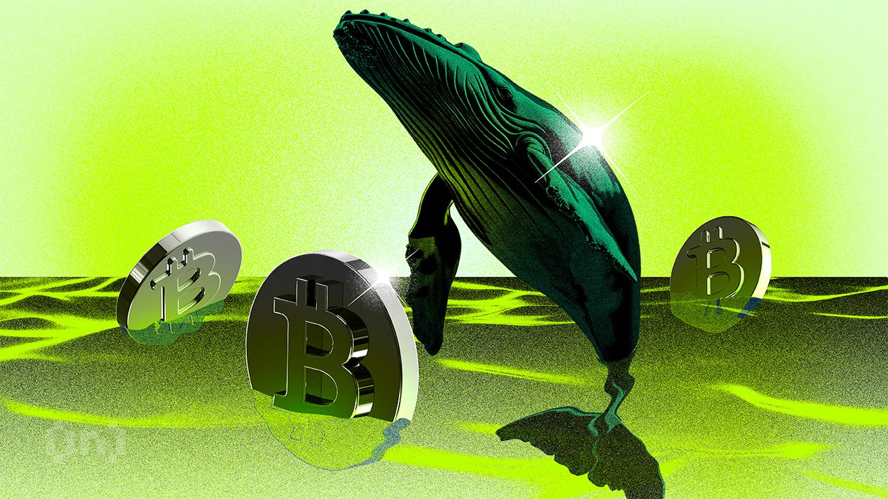 Bic Crypto Whales 4 Covers Bullish.jpg.optimal.jpg