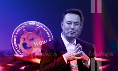 Doge News 720.png