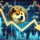 Dogecoin Dips Support.jpg