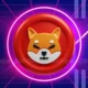 Is Shiba Inu Coin Price Set For 2021 Like Parabolic Rally To 1.webp.webp