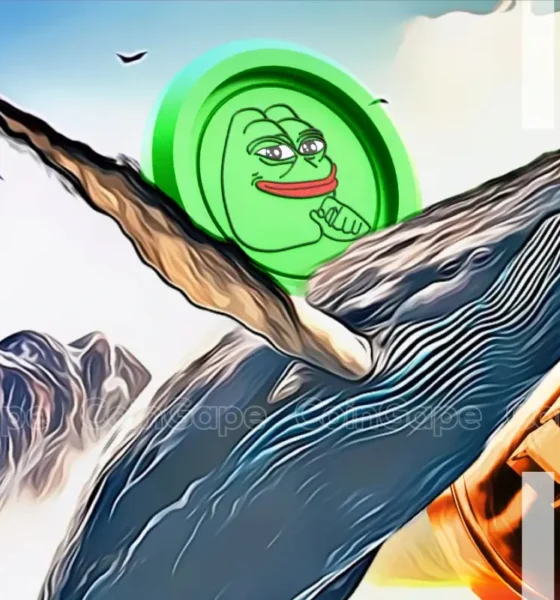 Pepe Coin Whale Dumps Over 1 Tln Pepe To Binance Whats Next .webp.webp