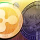 Xrp Institutional Buying Soars 266 Amid Ripple Vs Sec Lawsuit Appeal.webp.webp