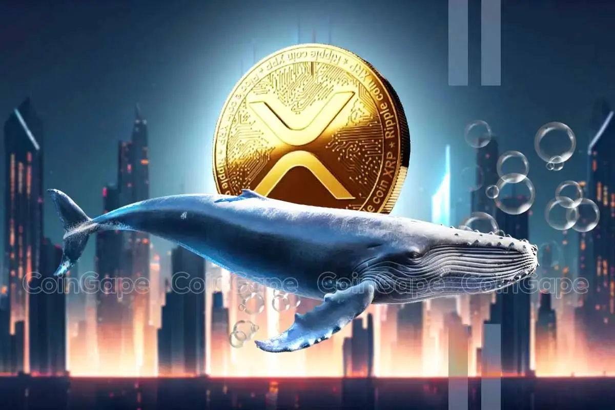 Xrp Whales Move 73m Coins As Speculation Over Cross Appeal By Ripple Grows.webp.webp