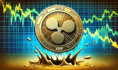 Xrp Slips.jpg