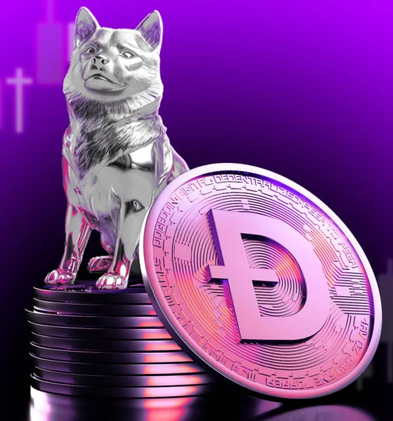 Bic Doge Covers Coins Negative.jpg.webp.webp