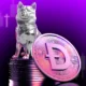 Bic Doge Covers Coins Negative.jpg.webp.webp