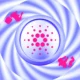 Bic Cardano 2 Covers.jpg.webp.webp