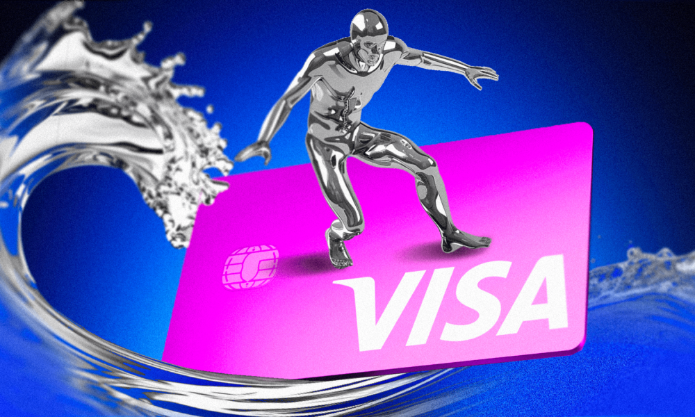 Bic Visa Covers Neutral.png