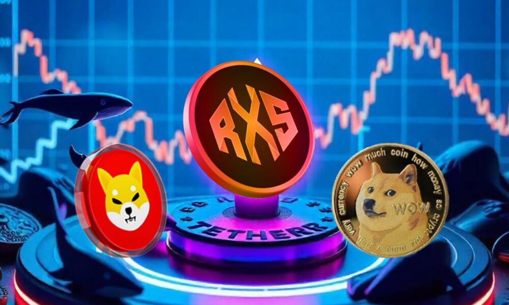 Shib Doge Rxs.jpg