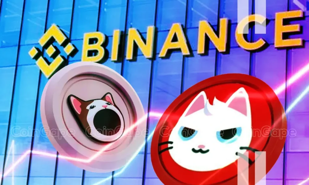 Binance Expands Support For Popcat Mew Will These Solana Meme Coins Rally .webp.webp