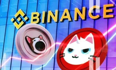 Binance Expands Support For Popcat Mew Will These Solana Meme Coins Rally .webp.webp