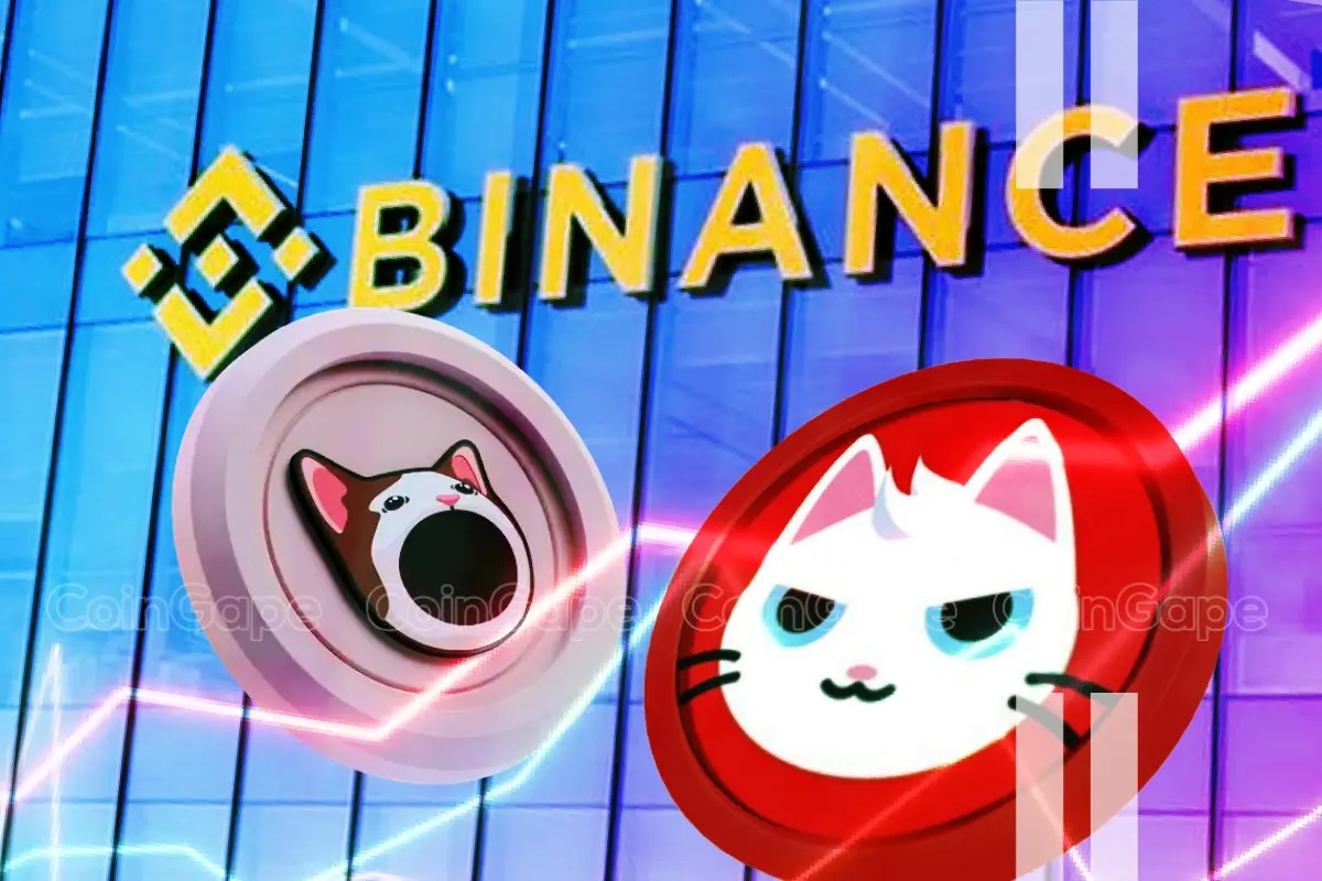 Binance Expands Support For Popcat Mew Will These Solana Meme Coins Rally .webp.webp