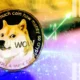 Doge Activity Soars But New Dogecoin Price Ath Will Happen After This.webp.webp