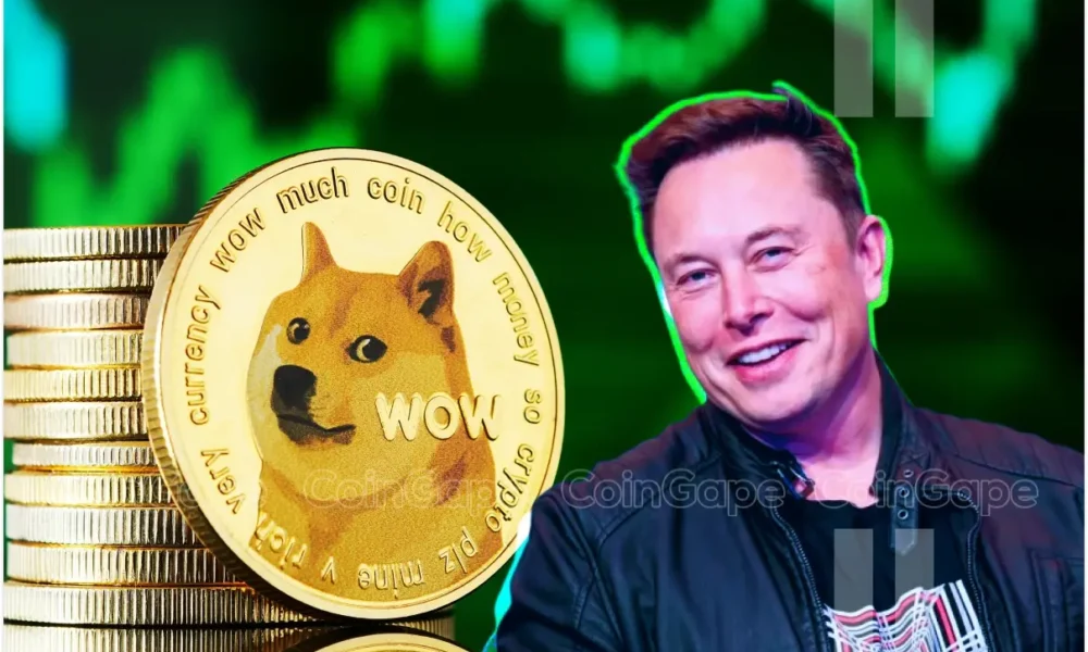 Dogecoin Price Rallies 14 In One Week Amid Elon Musk Support.webp.webp