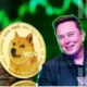 Dogecoin Price Rallies 14 In One Week Amid Elon Musk Support.webp.webp