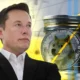 Dogecoin Price To Hit 2.4 As Elon Musk Shares New Update On D.o.g.e.webp.webp