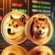 Dogecoin Shiba Inu 1.webp.jpeg