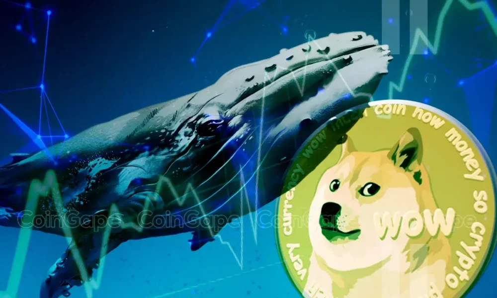 Dogecoin Whale Accumulation Sparks Optimism Doge To Rally 9000 Ahead .webp.webp