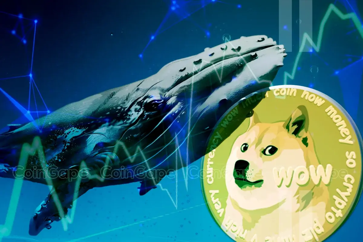 Dogecoin Whale Accumulation Sparks Optimism Doge To Rally 9000 Ahead .webp.webp