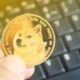 Dogecoin Price.png