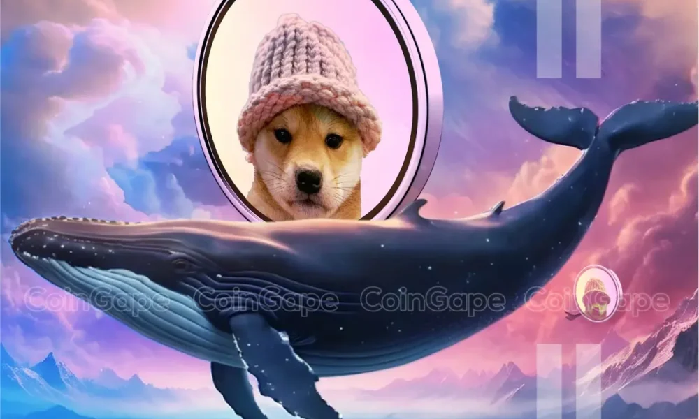 Dogwifhat Whale Bags 16m Wif Price To Gain 20 Ahead .webp.webp