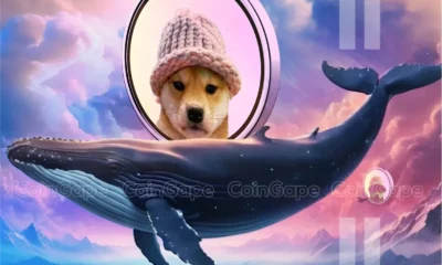 Dogwifhat Whale Bags 16m Wif Price To Gain 20 Ahead .webp.webp