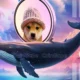 Dogwifhat Whale Bags 16m Wif Price To Gain 20 Ahead .webp.webp