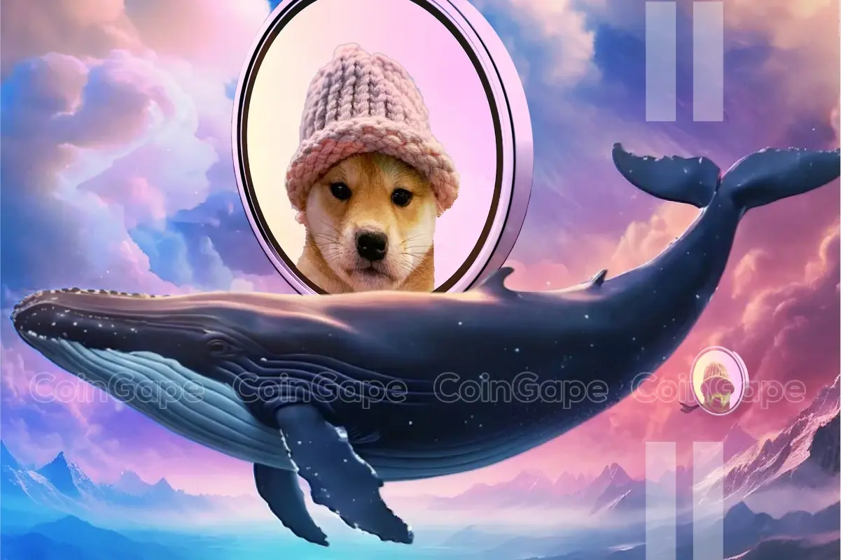 Dogwifhat Whale Bags 16m Wif Price To Gain 20 Ahead .webp.webp