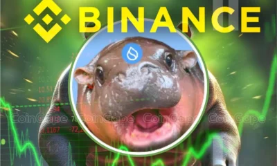 Hippo Price Rockets 105 As Binance Lists Sudeng With 75x Leverage Rally To Sustain .webp.webp