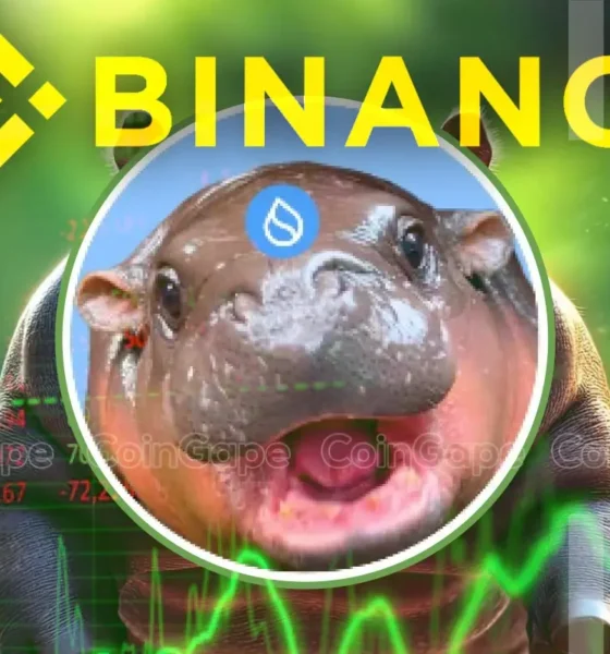 Hippo Price Rockets 105 As Binance Lists Sudeng With 75x Leverage Rally To Sustain .webp.webp