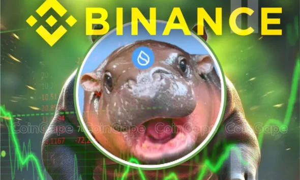 Hippo Price Rockets 105 As Binance Lists Sudeng With 75x Leverage Rally To Sustain .webp.webp