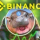 Hippo Price Rockets 105 As Binance Lists Sudeng With 75x Leverage Rally To Sustain .webp.webp