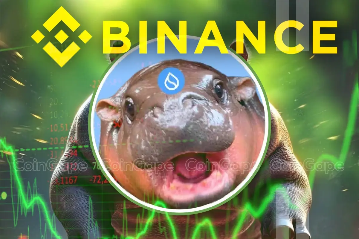 Hippo Price Rockets 105 As Binance Lists Sudeng With 75x Leverage Rally To Sustain .webp.webp