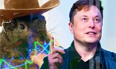 Pnut Price Soars 80 As Elon Musk Shilling Peanut The Squirrel.webp.webp