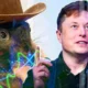 Pnut Price Soars 80 As Elon Musk Shilling Peanut The Squirrel.webp.webp