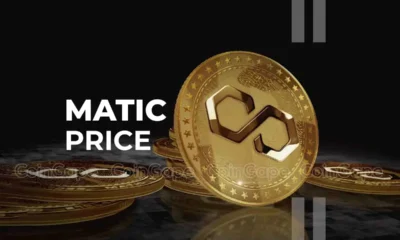 Polygon Matic Price Surge Gains Top 20 Crypto Ranking Whats Next.webp.webp