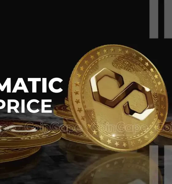 Polygon Matic Price Surge Gains Top 20 Crypto Ranking Whats Next.webp.webp