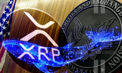 Ripple Whales Dump 48m Xrp As Us Sec Confirms Appeal Selloff Imminent .webp.webp