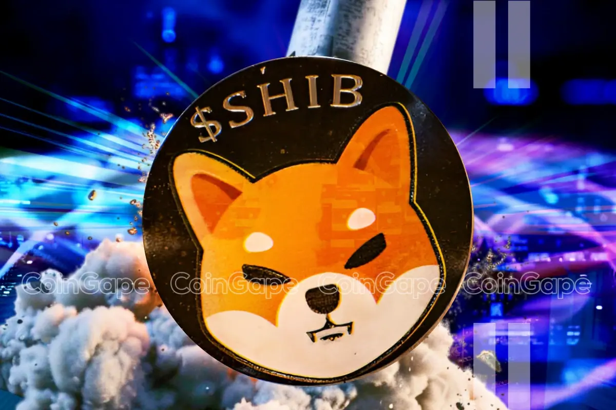 Shiba Inu Burn Rate Rockets 3700 Sparking Optimism Shib To Hit 2 .webp.webp