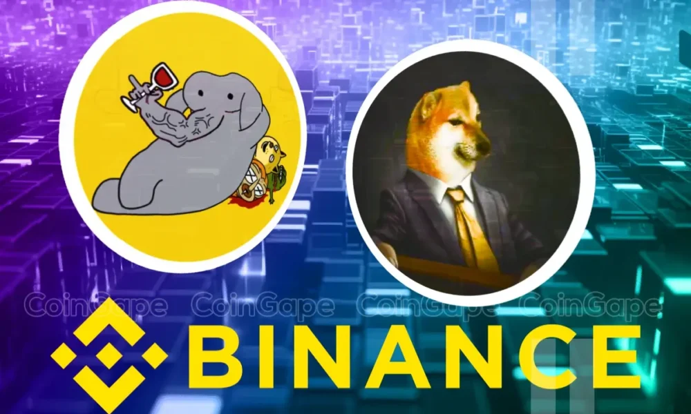 Why Cheems Under Investors Radars As Binance Expands Support Whats Next 1.webp.webp