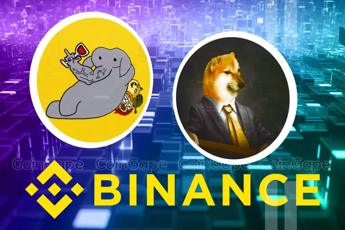 Why Cheems Under Investors Radars As Binance Expands Support Whats Next 1.webp.webp